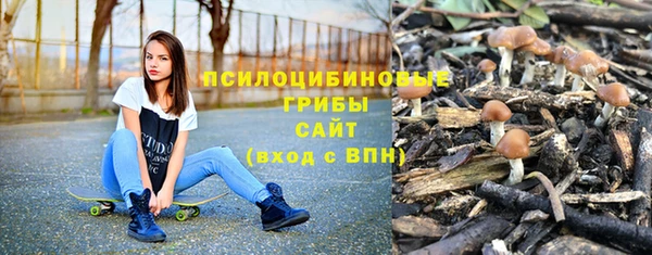 метадон Новодвинск