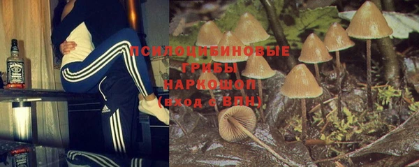 спайс Новокубанск