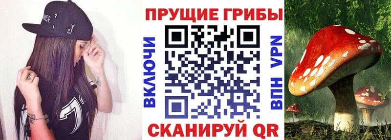 Псилоцибиновые грибы GOLDEN TEACHER  Ленинградская 